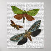 Schmetterlinge 4 poster (Vorne)