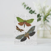 Schmetterlinge 4 postkarte (Stehend Vorderseite)