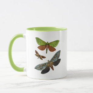 Schmetterlinge 4 tasse
