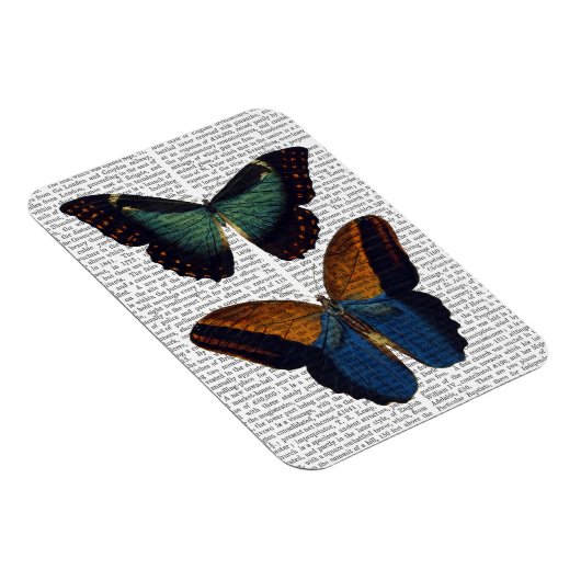Schmetterlinge 5 magnet (Rechte Seite)