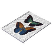Schmetterlinge 5 notizblock (Linke Seite)