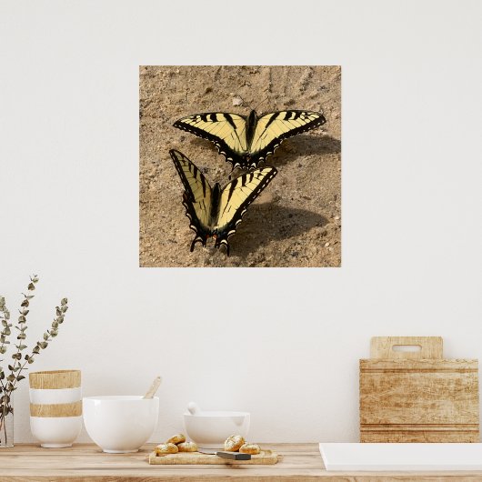 Schmetterlinge am Strand Poster (Küche)