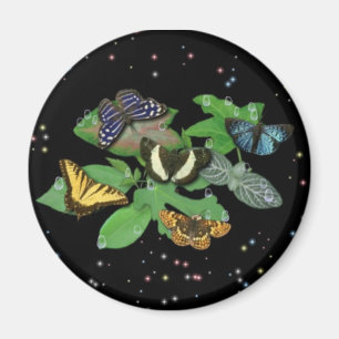 Schmetterlinge auf Blätter Magnet