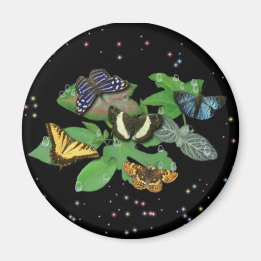 Schmetterlinge auf Blätter Magnet (Vorne)