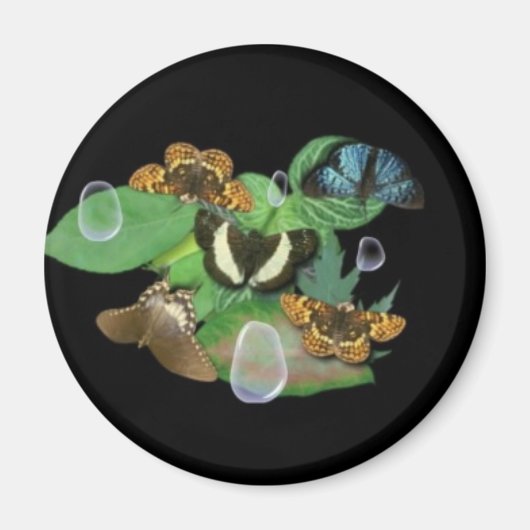 Schmetterlinge auf Blätter Magnet (Vorne)