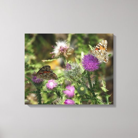 Schmetterlinge auf Blume Foto Single Print Leinwanddruck (Vorderseite)