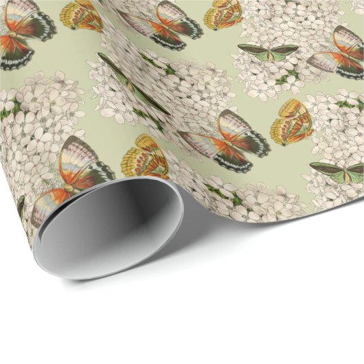 Schmetterlinge auf dem grünen Hintergrund von Hydr Geschenkpapier (Rolleneckpunkt)
