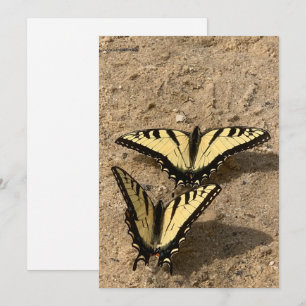 Schmetterlinge auf der Beach Flat Holiday Card Feiertagskarte