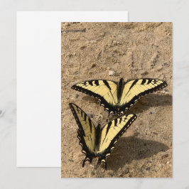 Schmetterlinge auf der Beach Flat Holiday Card Feiertagskarte