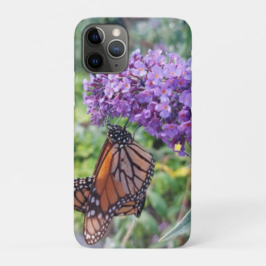 Schmetterlinge auf der Blume Case-Mate iPhone Hülle (Rückseite)