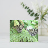 Schmetterlinge auf der westlichen Postkarte (Stehend Vorderseite)