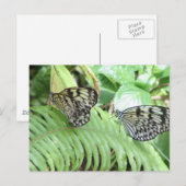Schmetterlinge auf der westlichen Postkarte (Vorne/Hinten)