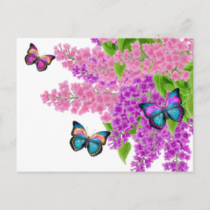 Schmetterlinge auf Lilacs Postkarte