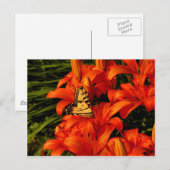 Schmetterlinge auf Tiger Lilies Postkarte (Vorne/Hinten)