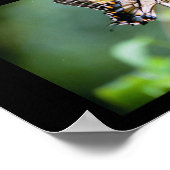 Schmetterlinge aus Louisiana Poster (Ecke)