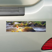 Schmetterlinge Autoaufkleber (Auf Auto)