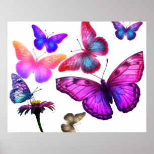 Schmetterlinge beim Fressen und Fliegen auf Bunt Poster