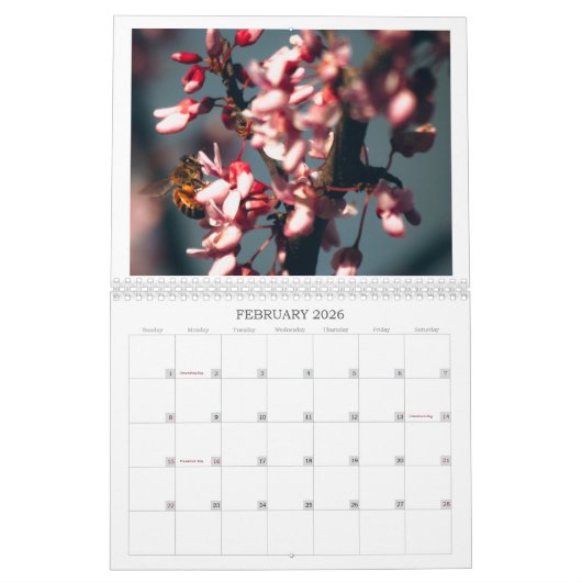 Schmetterlinge, Bienen und andere Poliinatoren Kalender (Feb 2026)