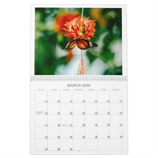 Schmetterlinge, Bienen und andere Poliinatoren Kalender (Mär 2026)