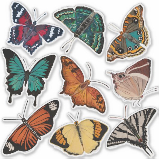 Schmetterlinge (Blatt 3 Schmetterlinge) Aufkleber (Vorderseite)