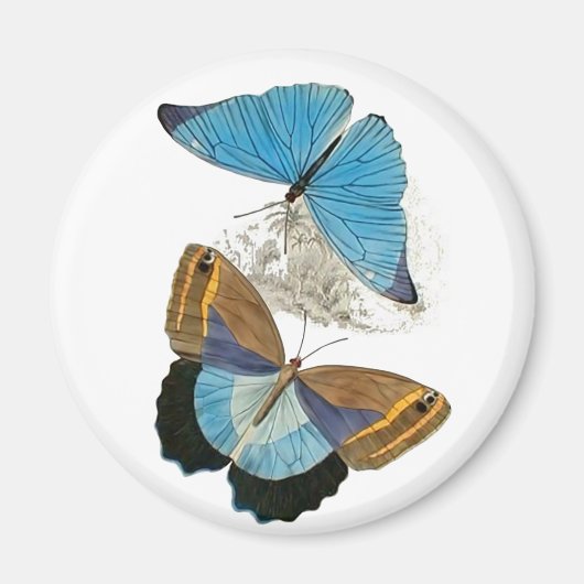 Schmetterlinge - blau magnet (Vorne)