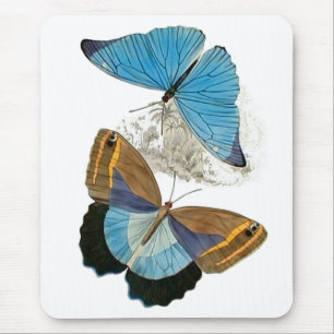 Schmetterlinge - blau mousepad