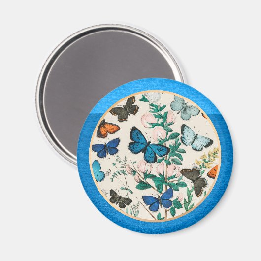 Schmetterlinge, blauer Rahmen Magnet (Vorderseite/Rückseite)