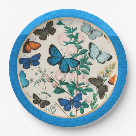 Schmetterlinge, blauer Rahmen Pappteller (Vorderseite)