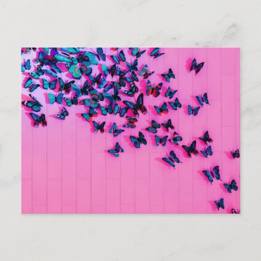 Schmetterlinge Blue Pink Schöne Postkarte (Vorderseite)
