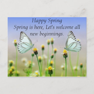 Schmetterlinge Blume Postkarte