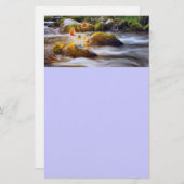 Schmetterlinge Briefpapier (Vorne/Hinten)