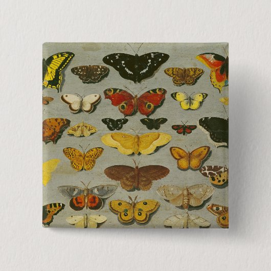 Schmetterlinge Button (Vorderseite)