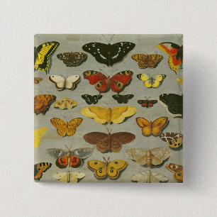 Schmetterlinge Button