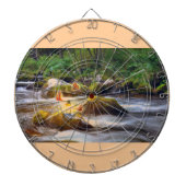 Schmetterlinge Dartscheibe (vorne)