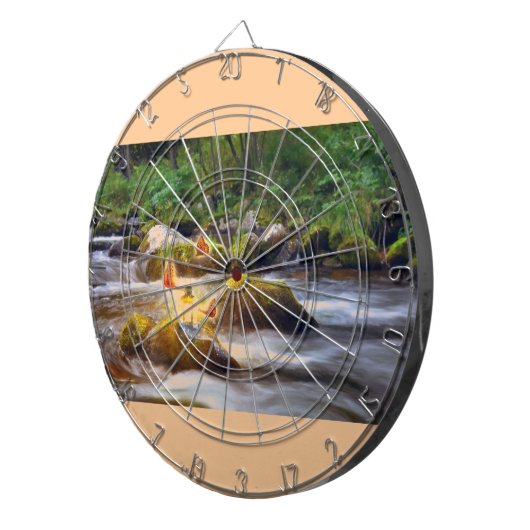 Schmetterlinge Dartscheibe (Vorderseite rechts)