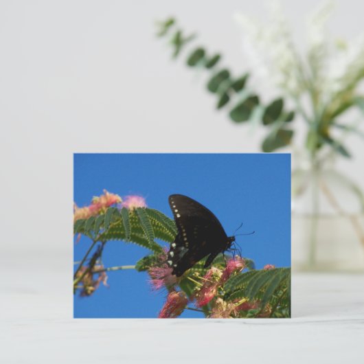 Schmetterlinge Delight Landschaft Szene Postkarte (Stehend Vorderseite)