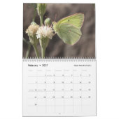 Schmetterlinge der Sierra und der Kaskaden Kalender (Feb 2027)