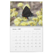 Schmetterlinge der Sierra und der Kaskaden Kalender (Jan 2027)