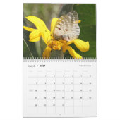 Schmetterlinge der Sierra und der Kaskaden Kalender (Mär 2027)