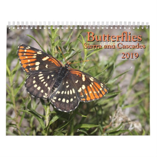 Schmetterlinge der Sierra und der Kaskaden Kalender (Titelbild)