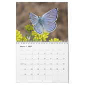 Schmetterlinge des Rocky Mountainss 2014 Kalender (Mär 2027)