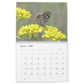 Schmetterlinge des Rocky Mountainss 2014 Kalender (Jan 2027)