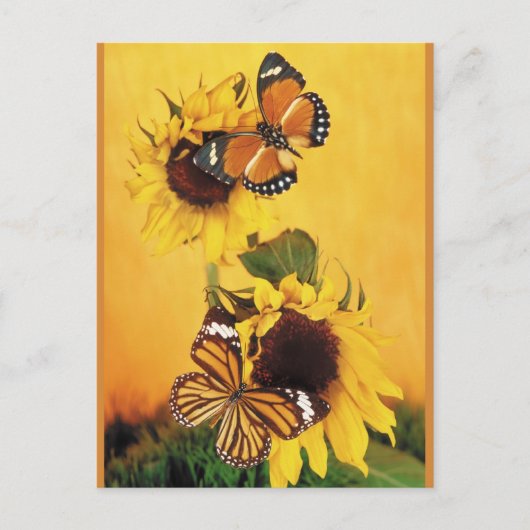 Schmetterlinge des Sommers 1 Postkarte (Vorderseite)