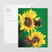 Schmetterlinge des Sommers 2 Postkarte (Vorne/Hinten)