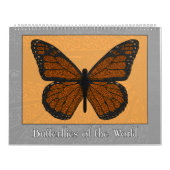 Schmetterlinge des Weltkalenders Kalender (Titelbild)