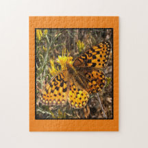 Schmetterlinge dürfen sich nicht rätseln