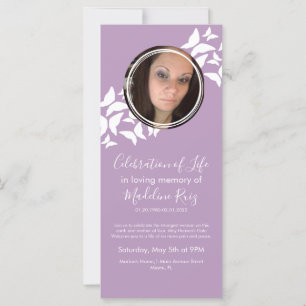 Schmetterlinge feiern das Foto des Lebens