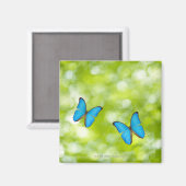 Schmetterlinge fliegen, Digital Composite Magnet (Vorderseite/Rückseite)