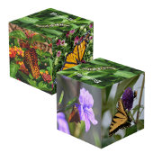 Schmetterlinge fotografisches dekoratives Foto Würfel