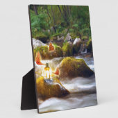 Schmetterlinge Fotoplatte (Seite)